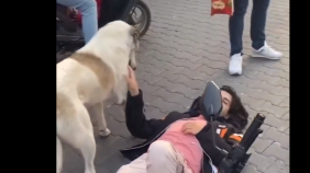Glavna vijesti