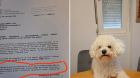 Glavna vijesti