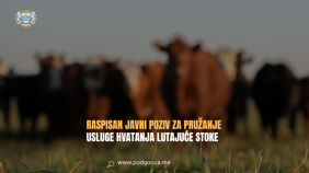 Glavna vijesti
